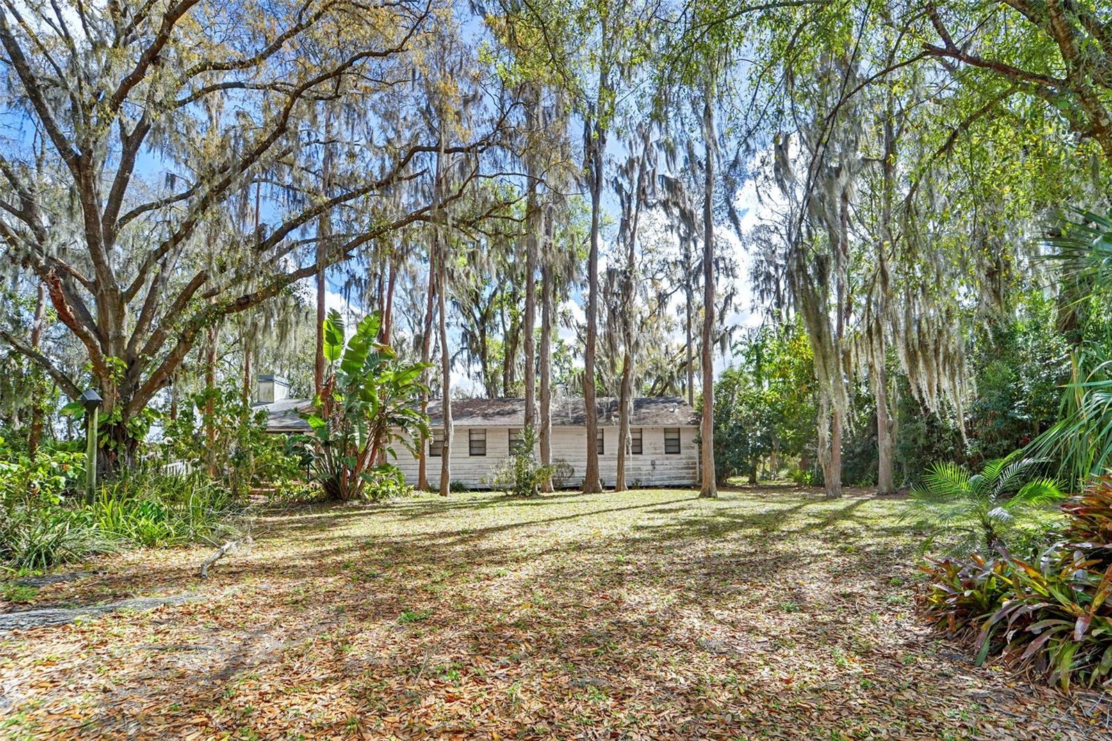 18709 WAYNE RD, ODESSA, FL, 33556