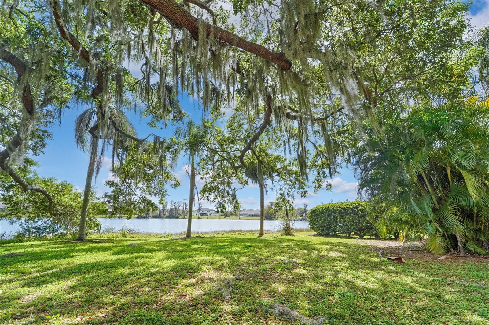 18709 WAYNE RD, ODESSA, FL, 33556