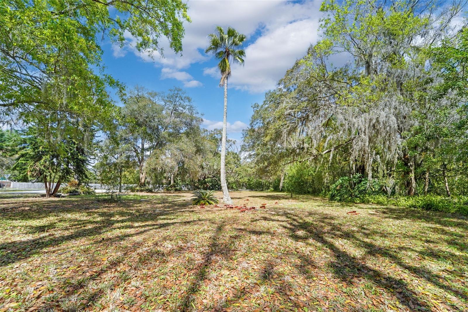 18709 WAYNE RD, ODESSA, FL, 33556