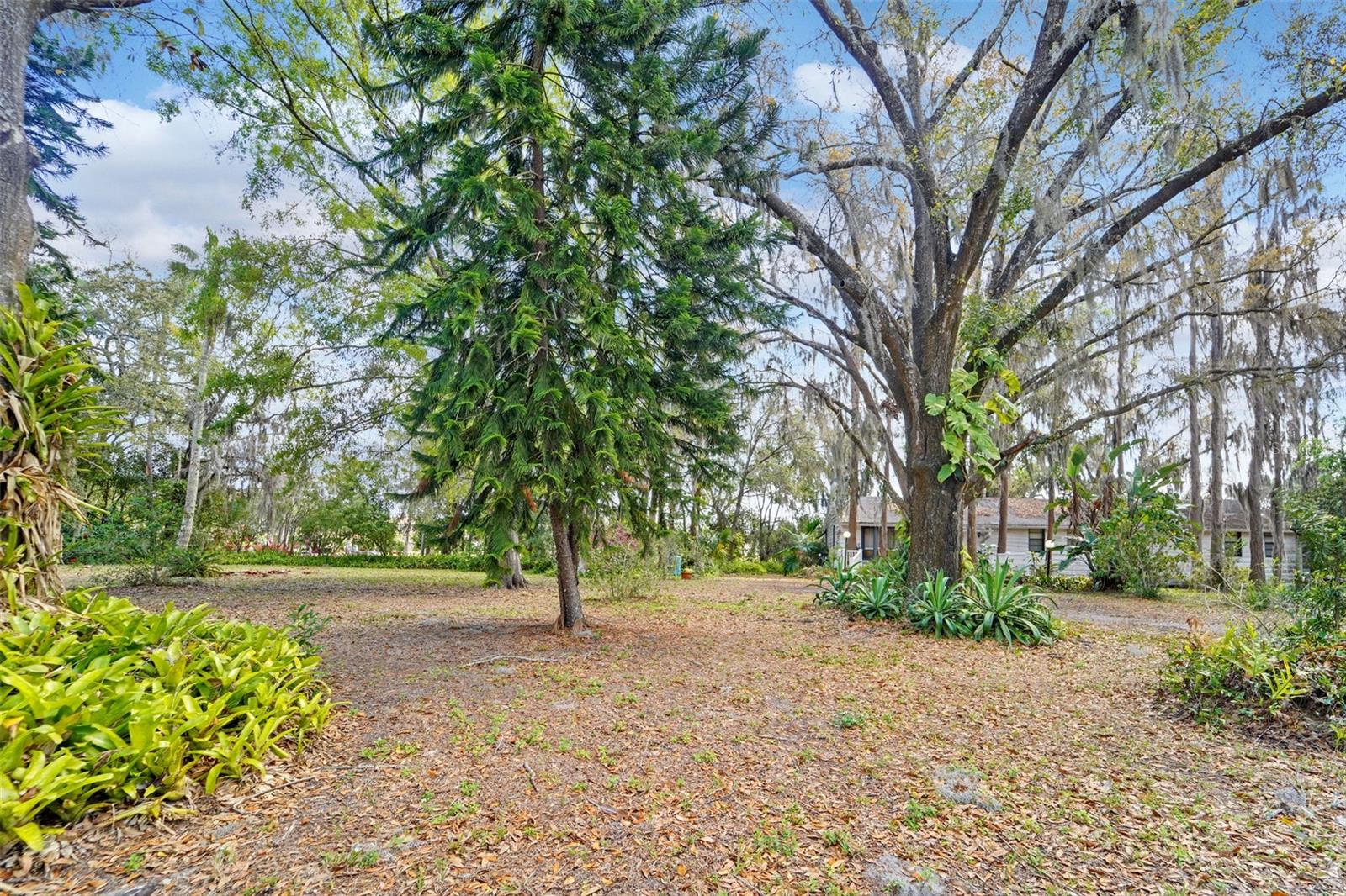 18709 WAYNE RD, ODESSA, FL, 33556