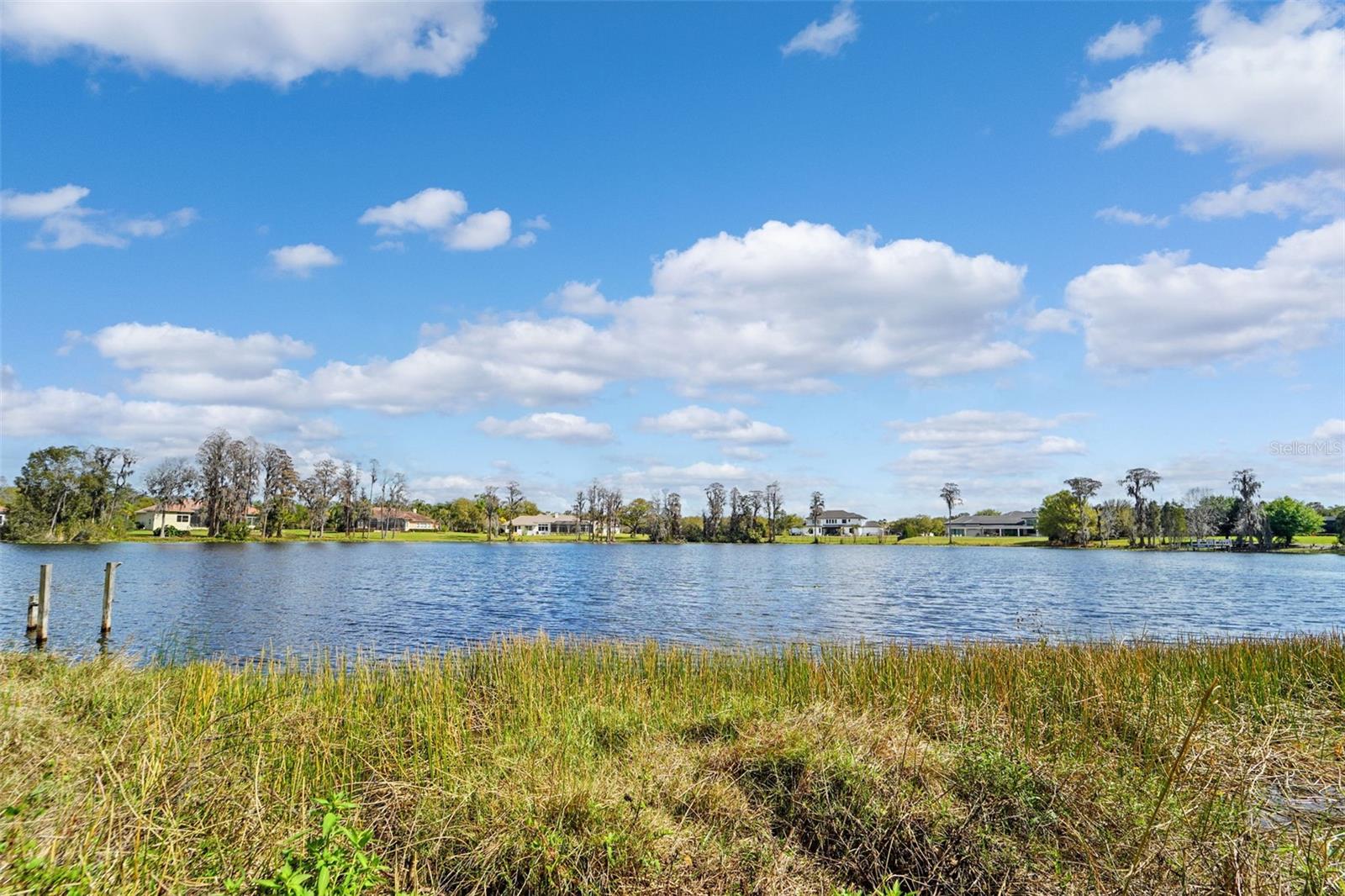 18709 WAYNE RD, ODESSA, FL, 33556