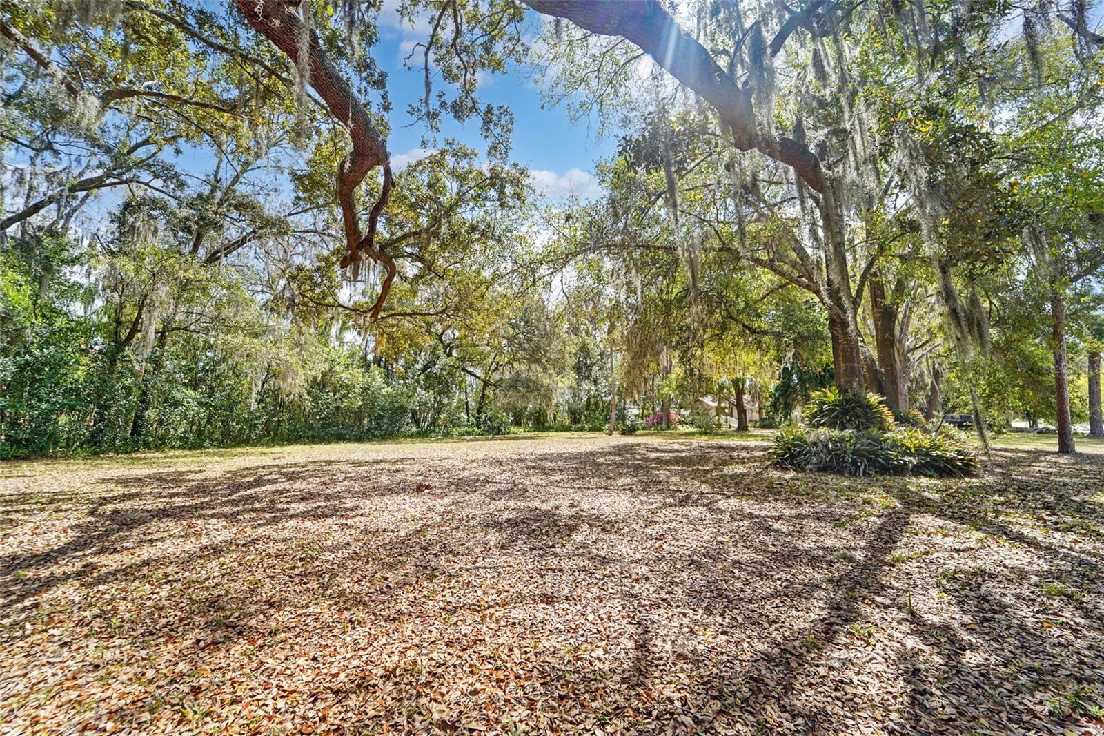 18709 WAYNE RD, ODESSA, FL, 33556