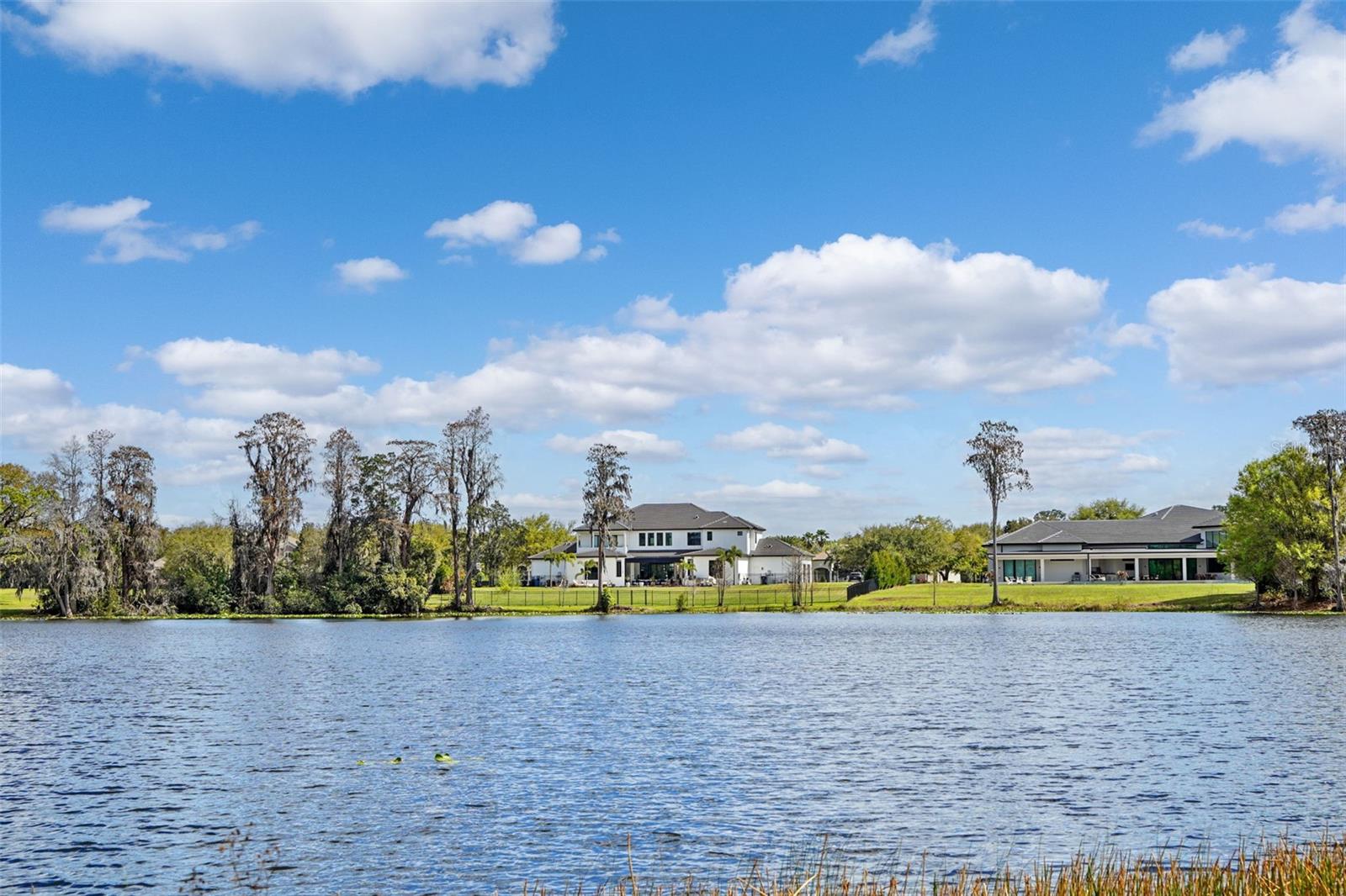 18709 WAYNE RD, ODESSA, FL, 33556