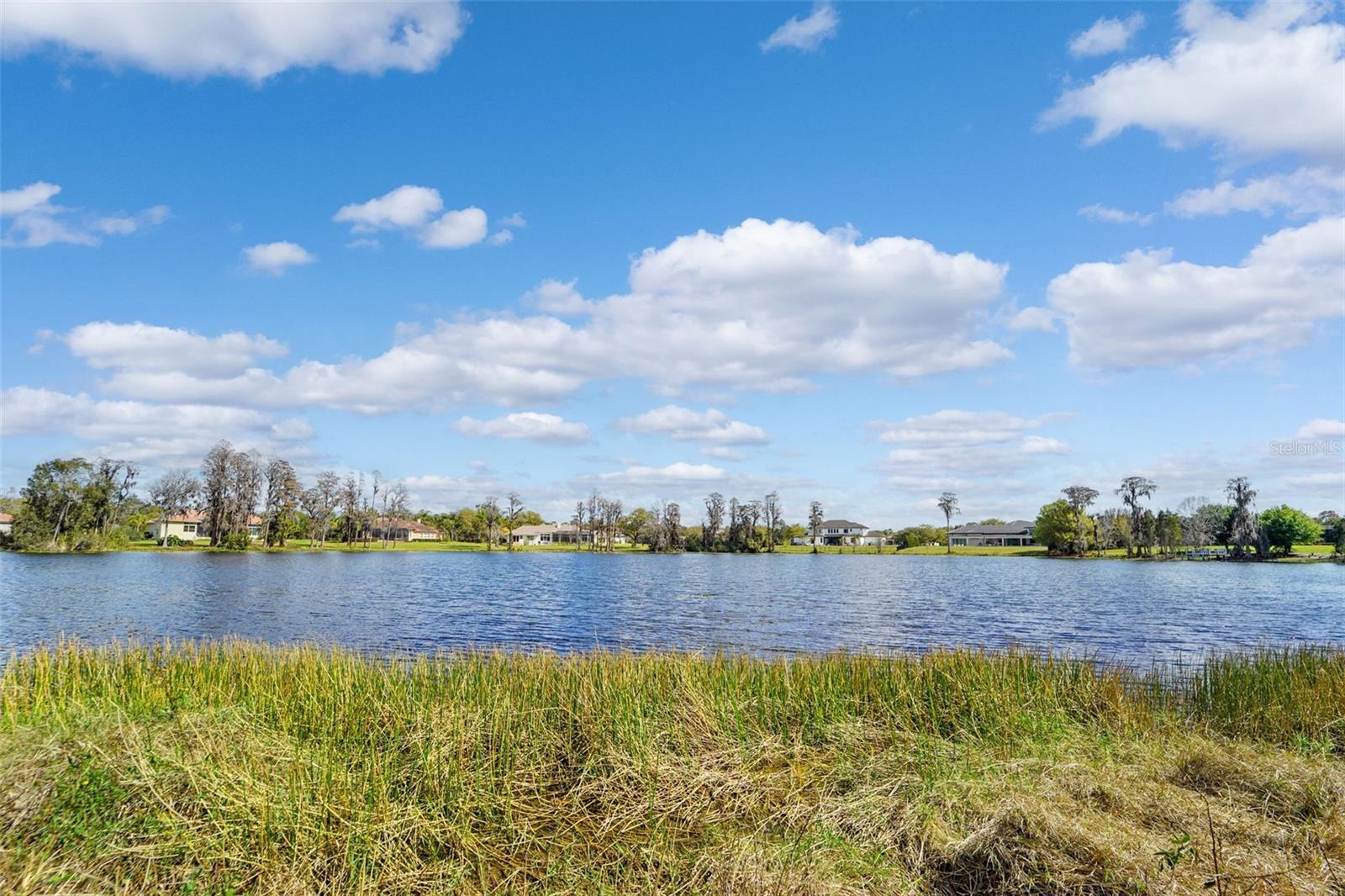 18709 WAYNE RD, ODESSA, FL, 33556