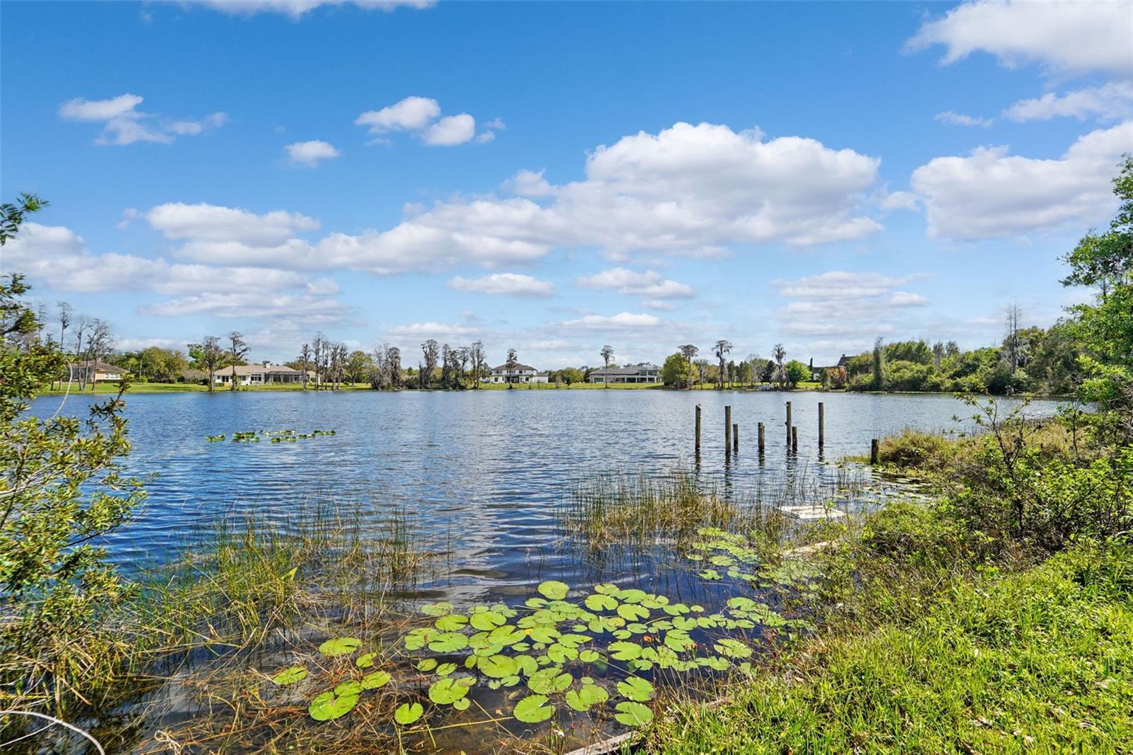 18709 WAYNE RD, ODESSA, FL, 33556