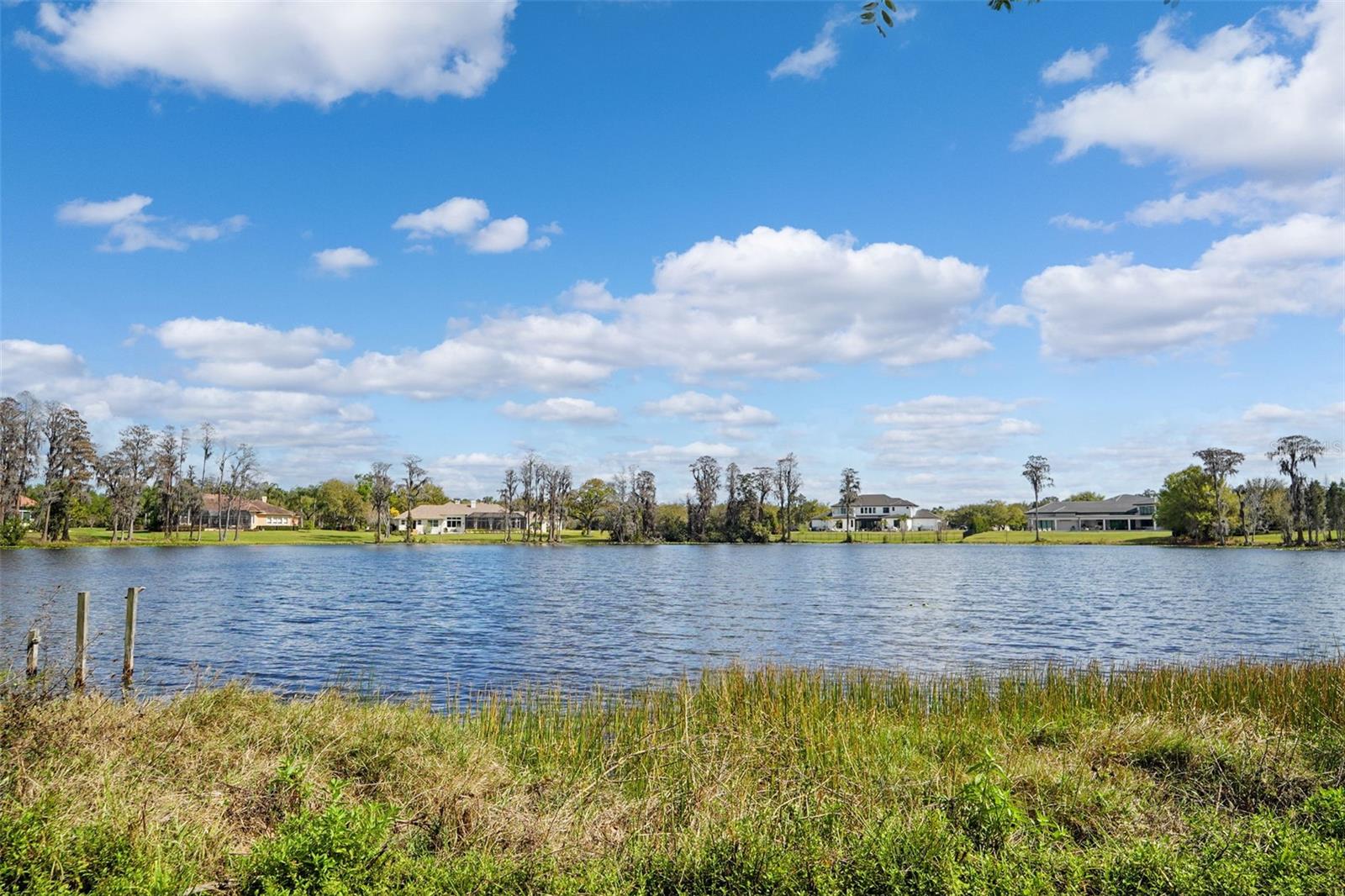 18709 WAYNE RD, ODESSA, FL, 33556