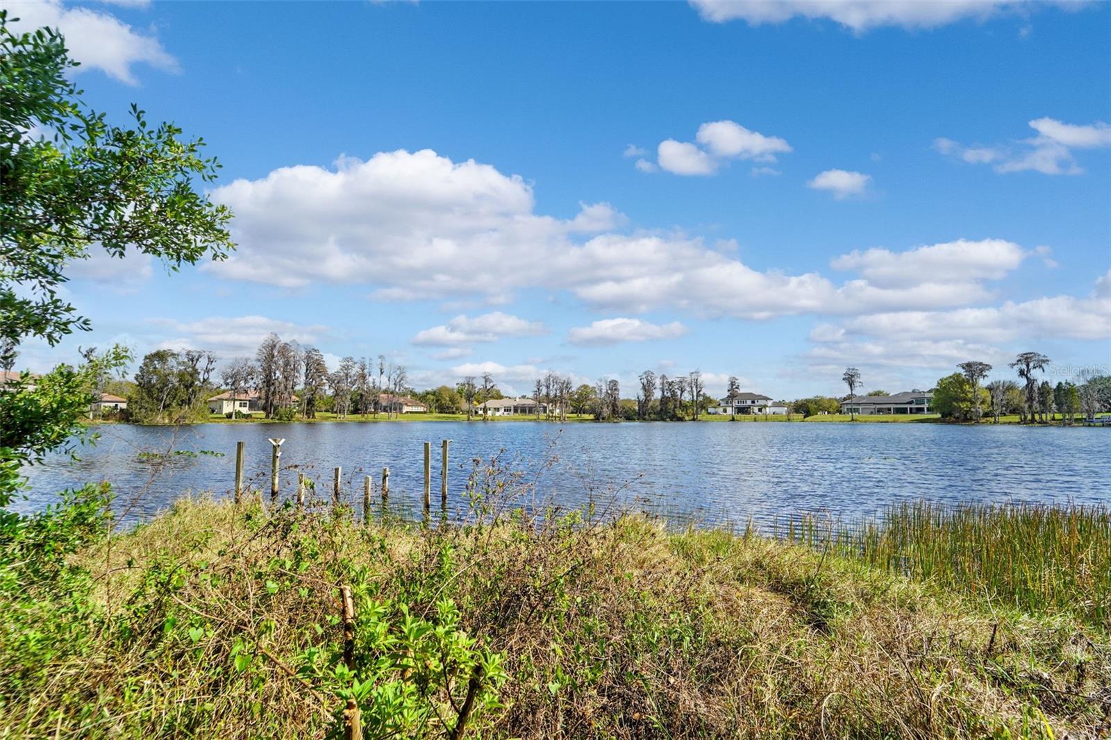 18709 WAYNE RD, ODESSA, FL, 33556