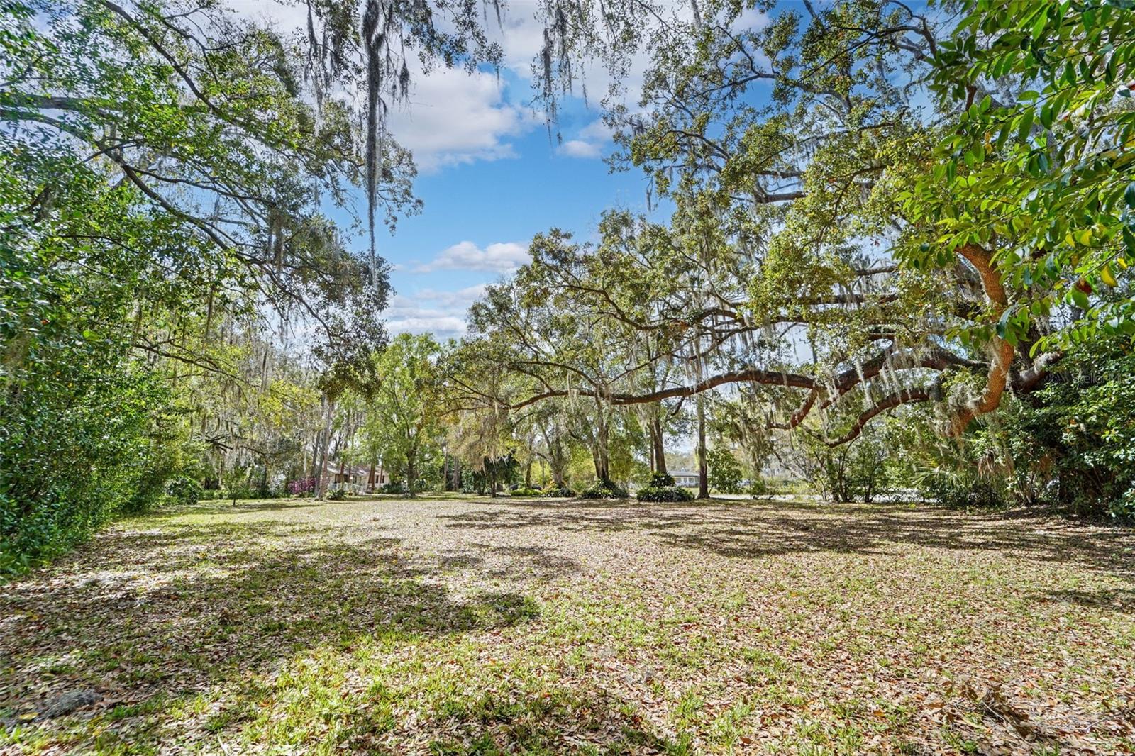 18709 WAYNE RD, ODESSA, FL, 33556