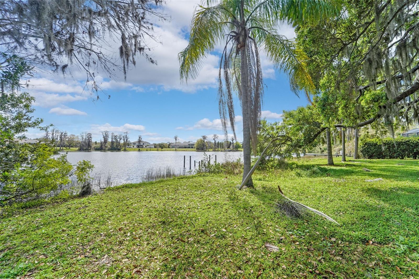 18709 WAYNE RD, ODESSA, FL, 33556