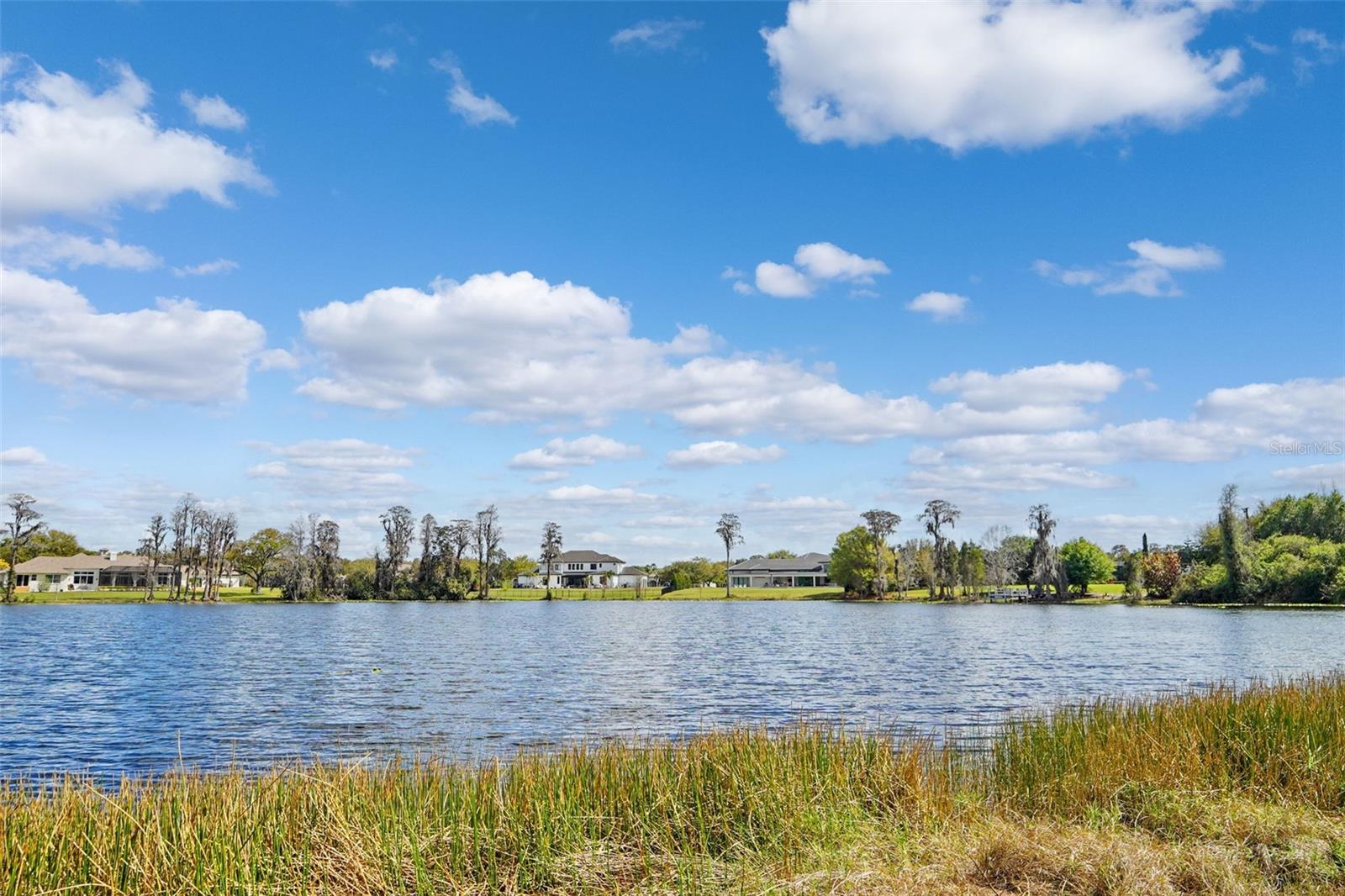 18709 WAYNE RD, ODESSA, FL, 33556