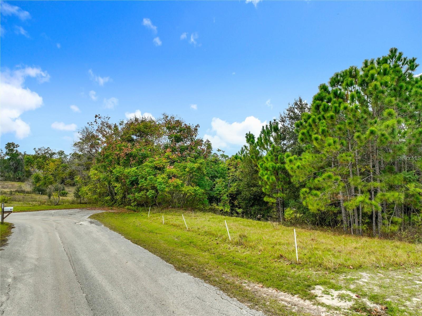 WINDY HILL DR, EUSTIS, FL, 32726
