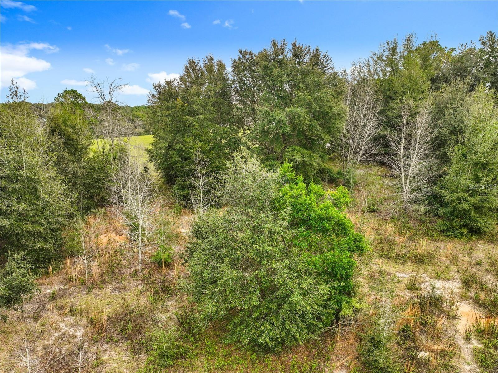WINDY HILL DR, EUSTIS, FL, 32726