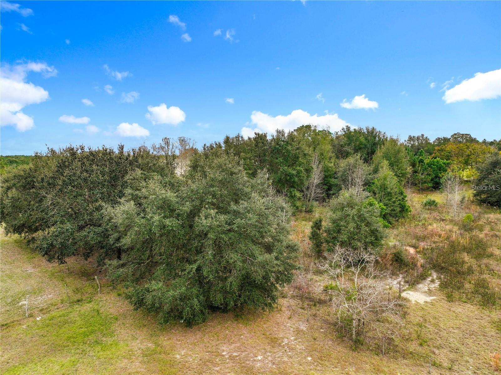 WINDY HILL DR, EUSTIS, FL, 32726