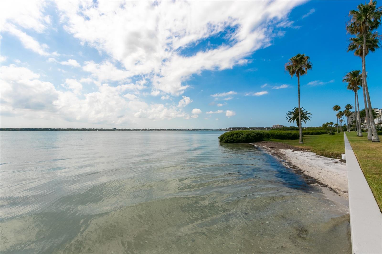 1401 GULF BLVD #117, CLEARWATER BEACH, FL, 33767