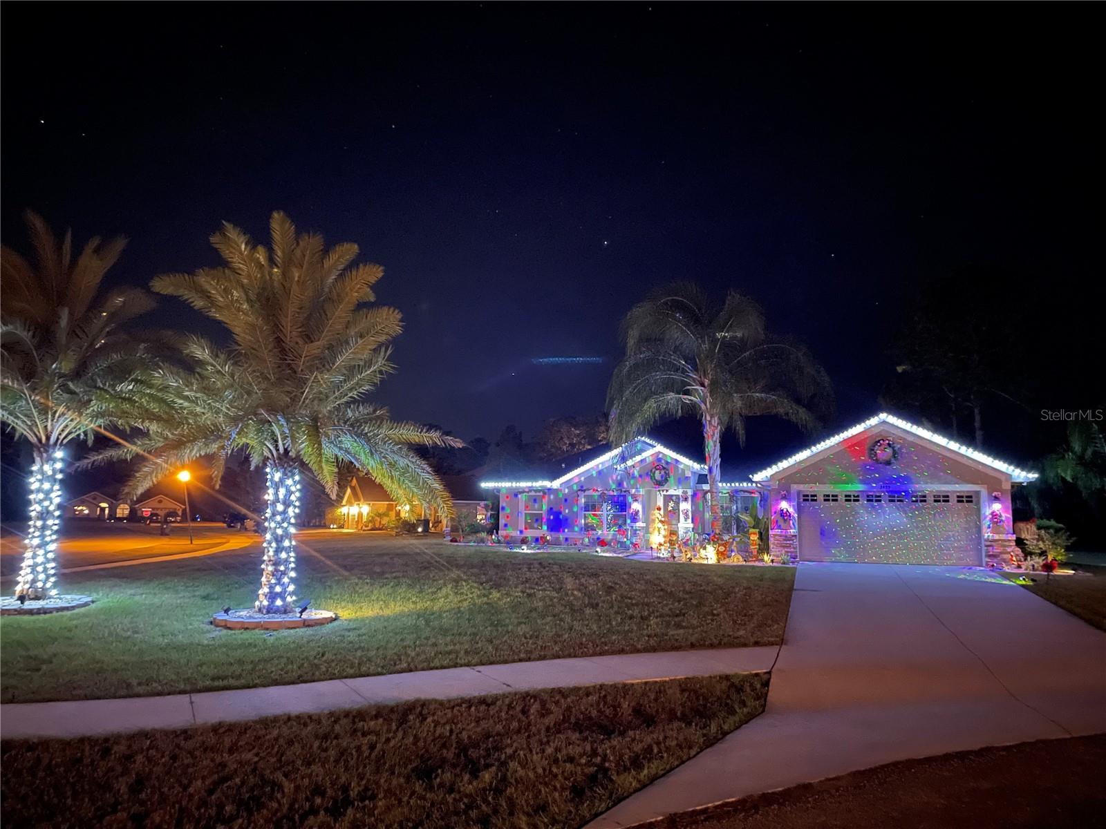 Home for the Holidays :)