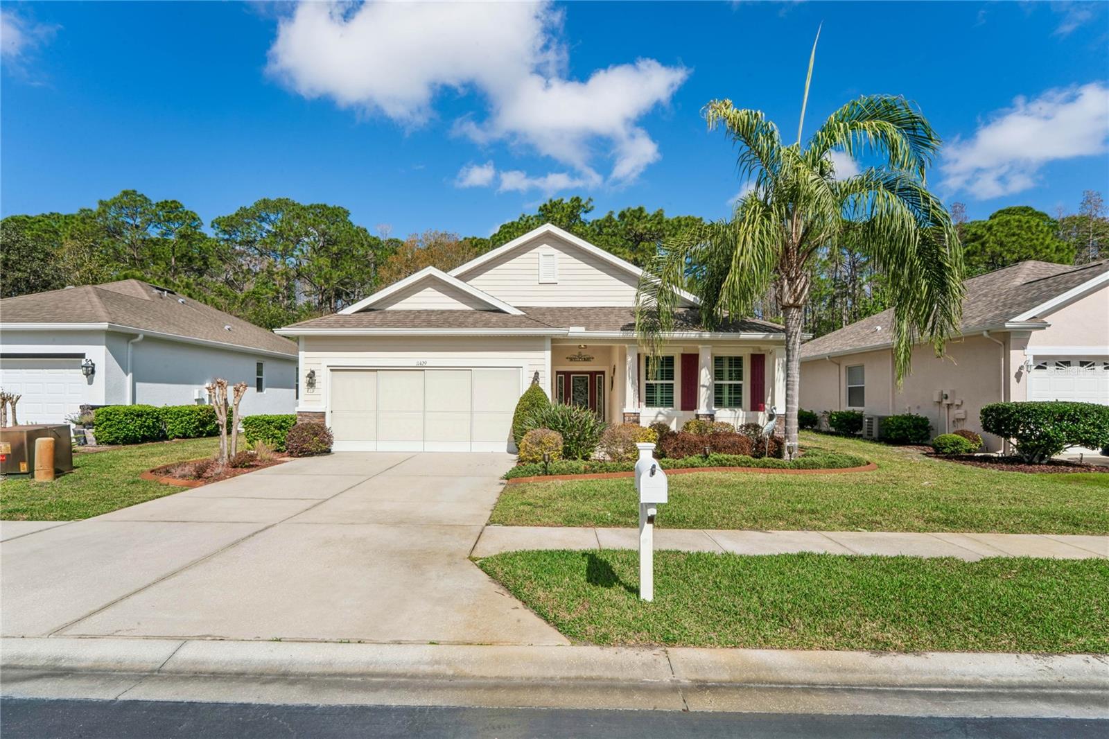11429 MERGANSER WAY, NEW PORT RICHEY, FL, 34654