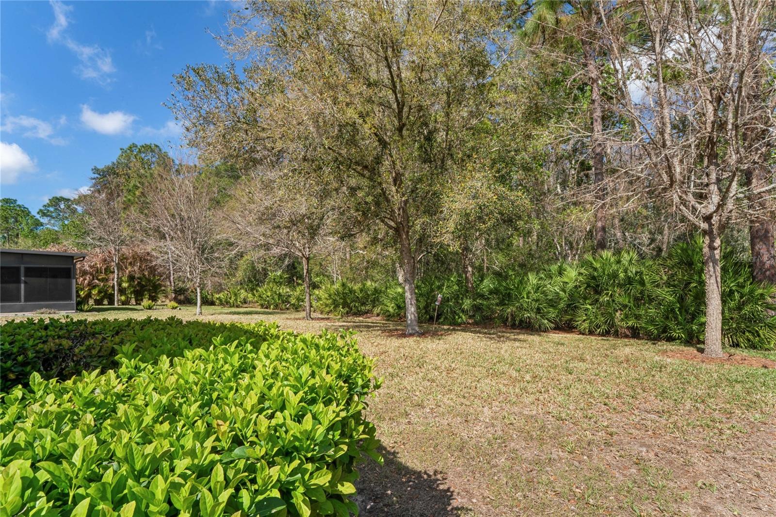 11429 MERGANSER WAY, NEW PORT RICHEY, FL, 34654