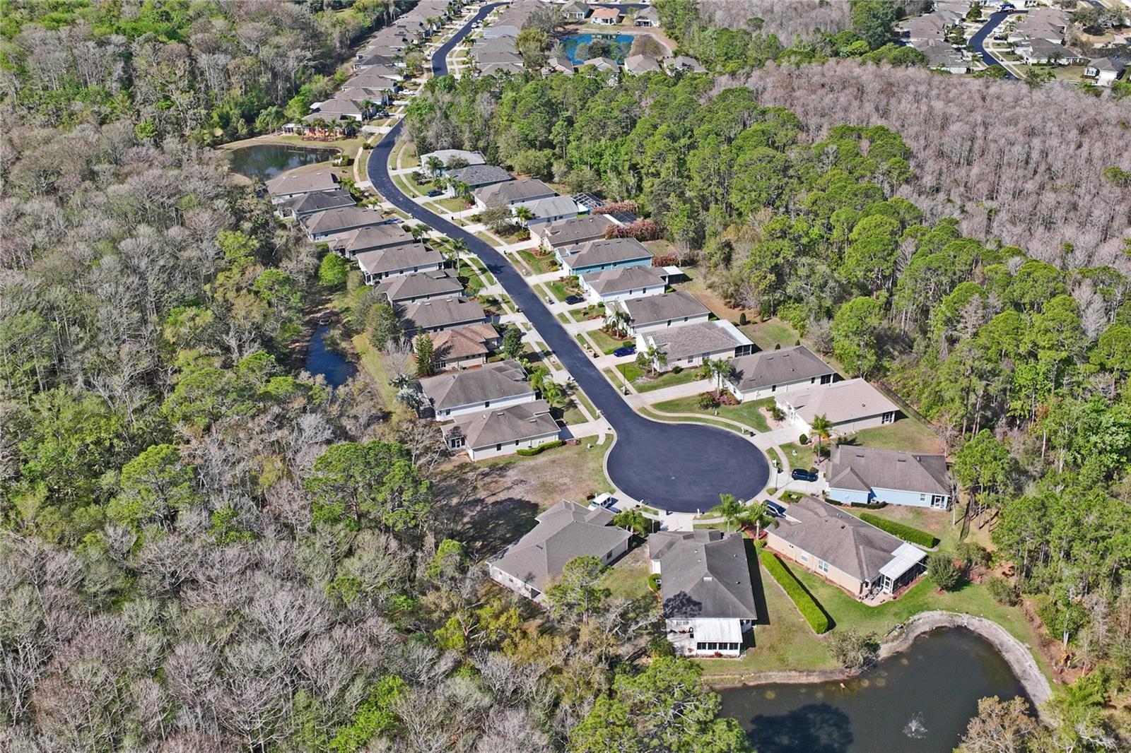 11429 MERGANSER WAY, NEW PORT RICHEY, FL, 34654