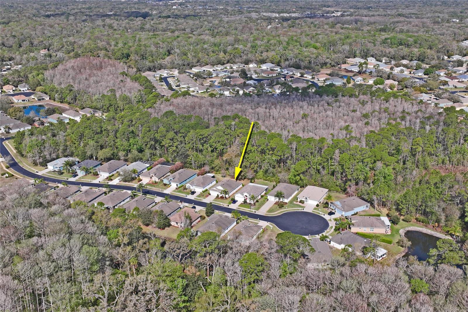 11429 MERGANSER WAY, NEW PORT RICHEY, FL, 34654