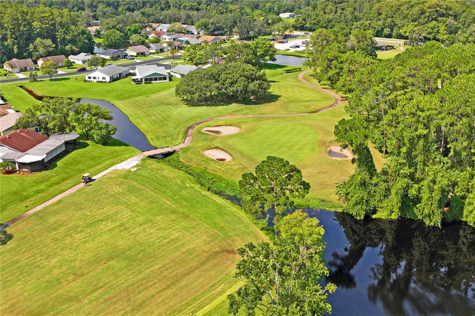 11429 MERGANSER WAY, NEW PORT RICHEY, FL, 34654