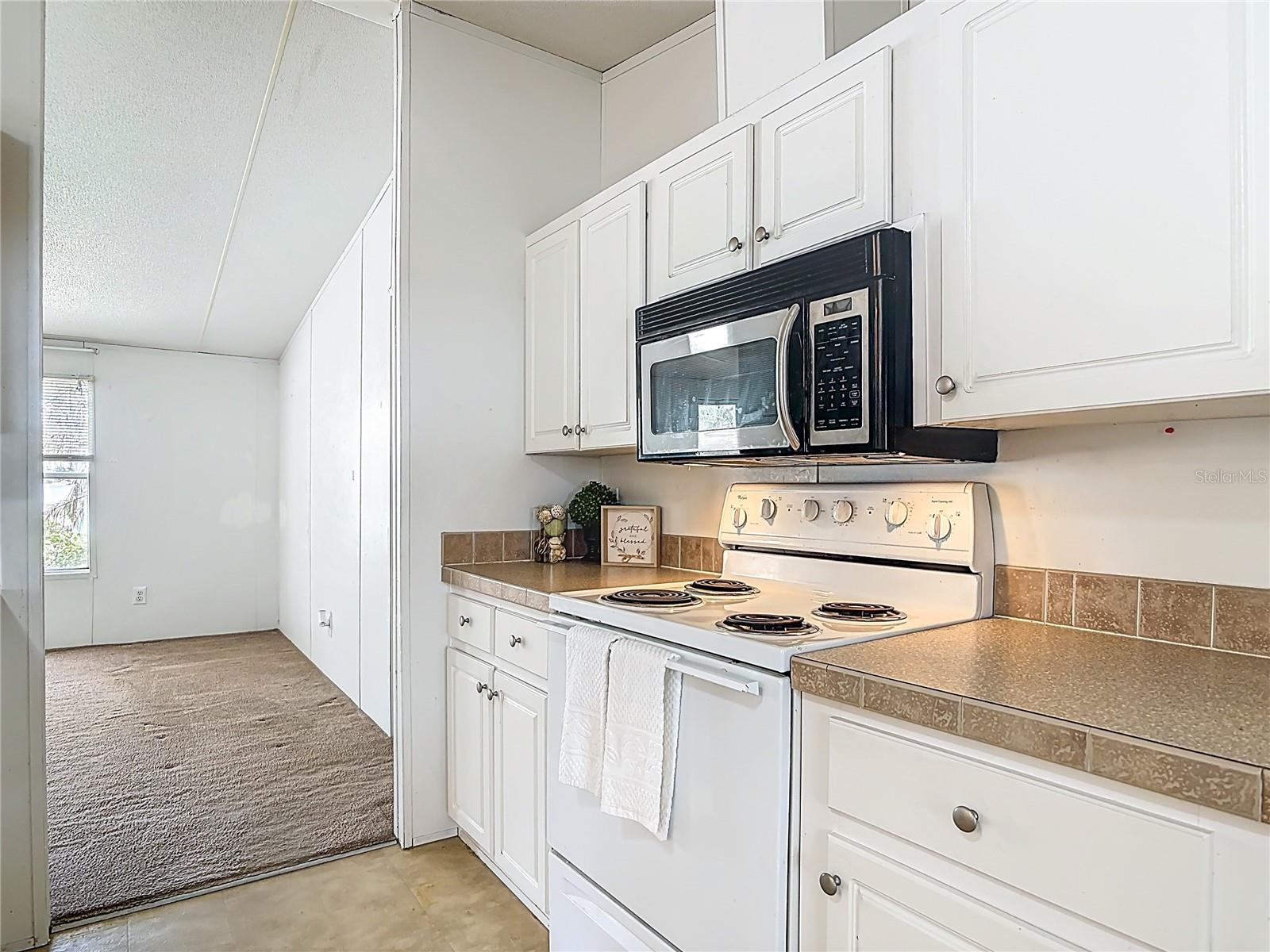 42316 POND VIEW LN, DELAND, FL, 32720