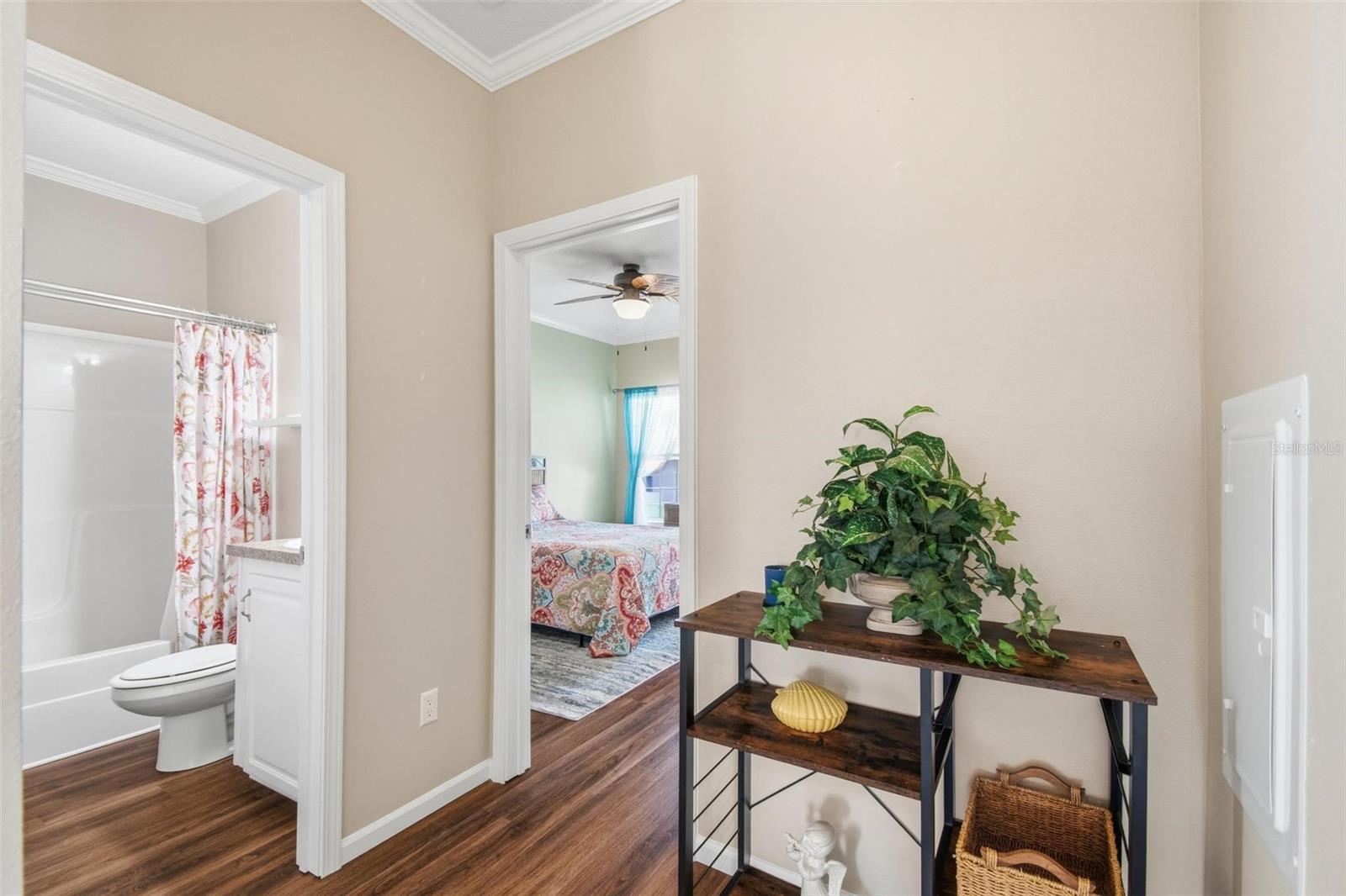 188 MONITOR DR, FLAGLER BEACH, FL, 32136