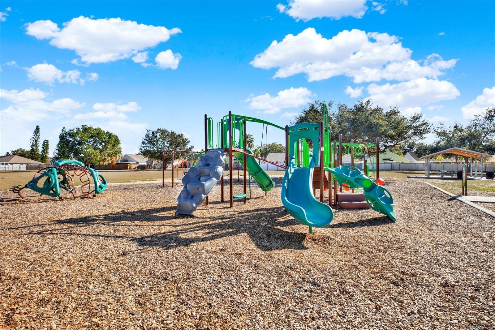 10636 EGRET HAVEN LN, RIVERVIEW, FL, 33578