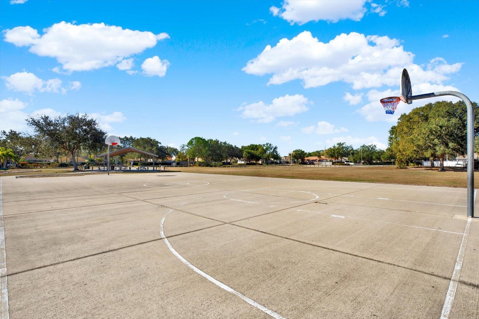 10636 EGRET HAVEN LN, RIVERVIEW, FL, 33578