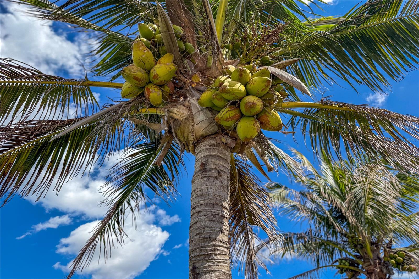 6875 MANASOTA KEY RD, ENGLEWOOD, FL, 34223