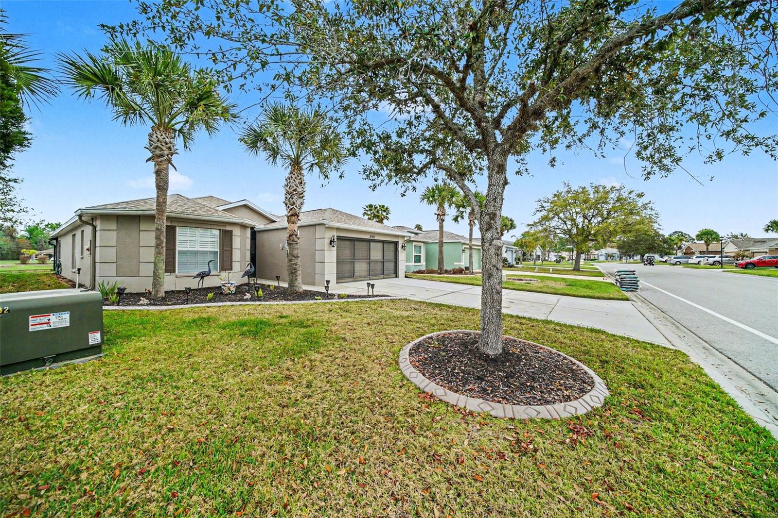 10321 OLD TAMPA BAY DR, SAN ANTONIO, FL, 33576