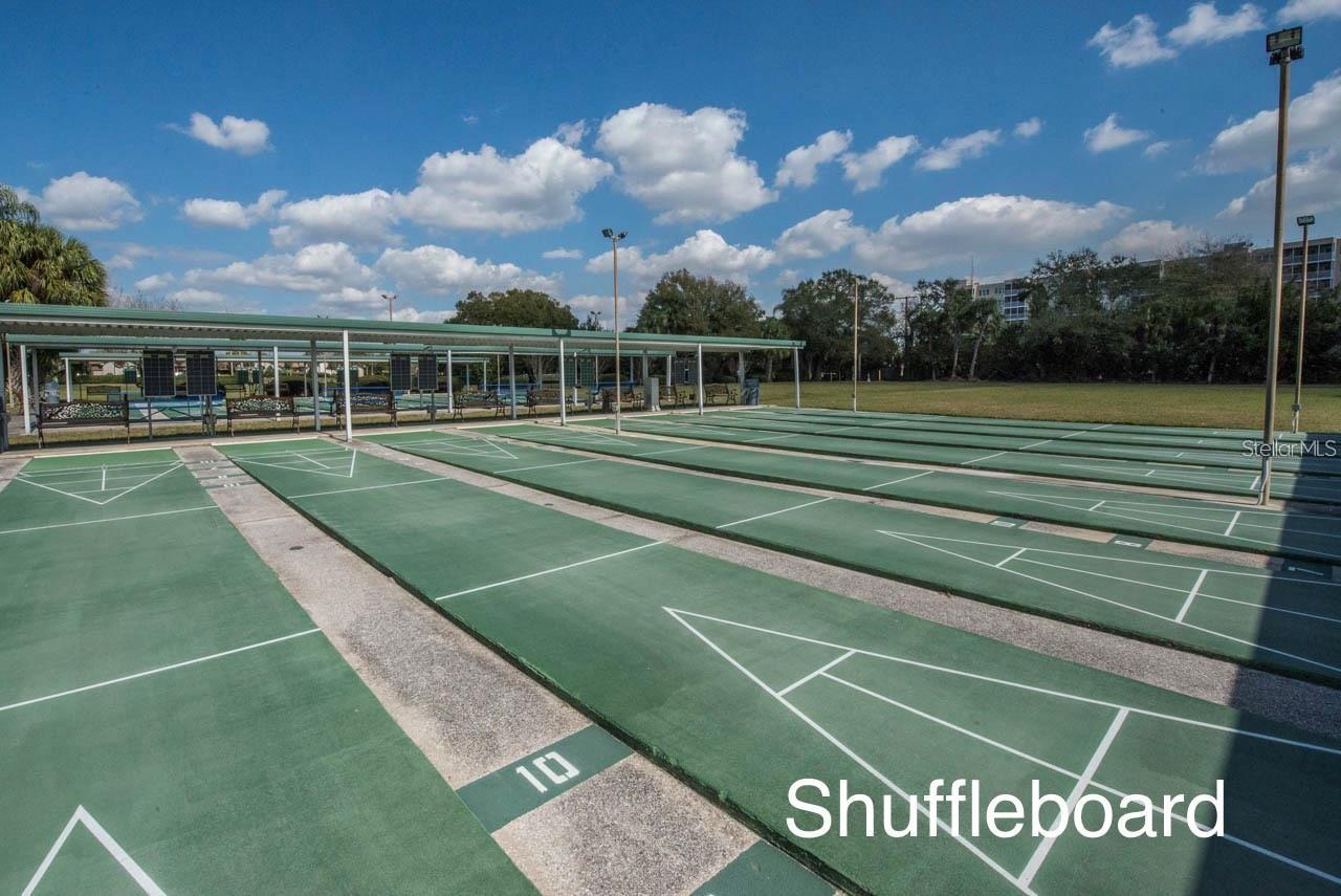 2215 WORTHINGTON GREENS DR #20, SUN CITY CENTER, FL, 33573