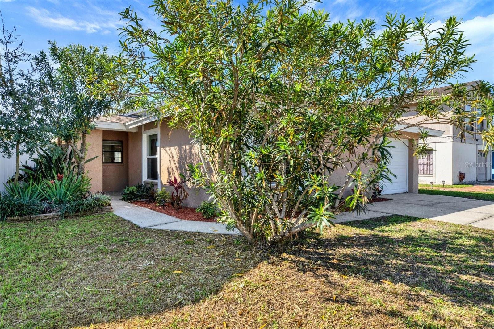 10320 FERNBROOK LN, TAMPA, FL, 33624