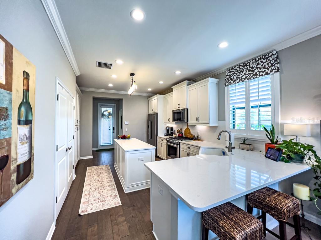 5742 CIRCA FISHHAWK BLVD, LITHIA, FL, 33547