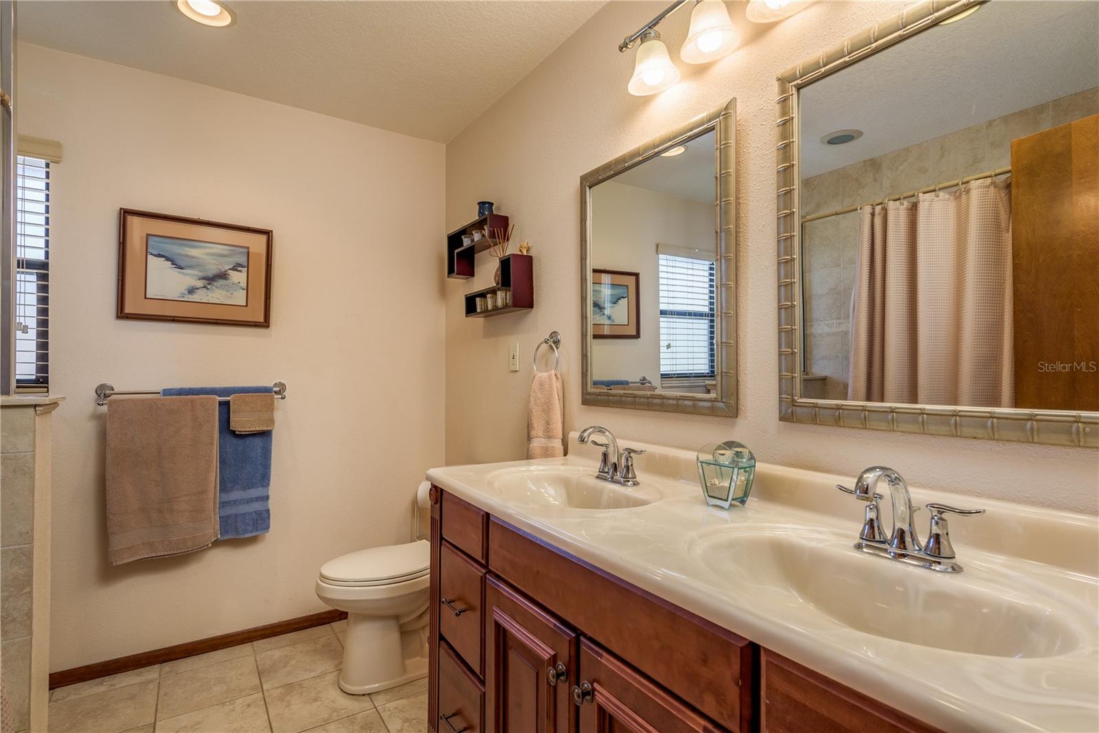 1462 LAKEVIEW DR, TARPON SPRINGS, FL, 34689