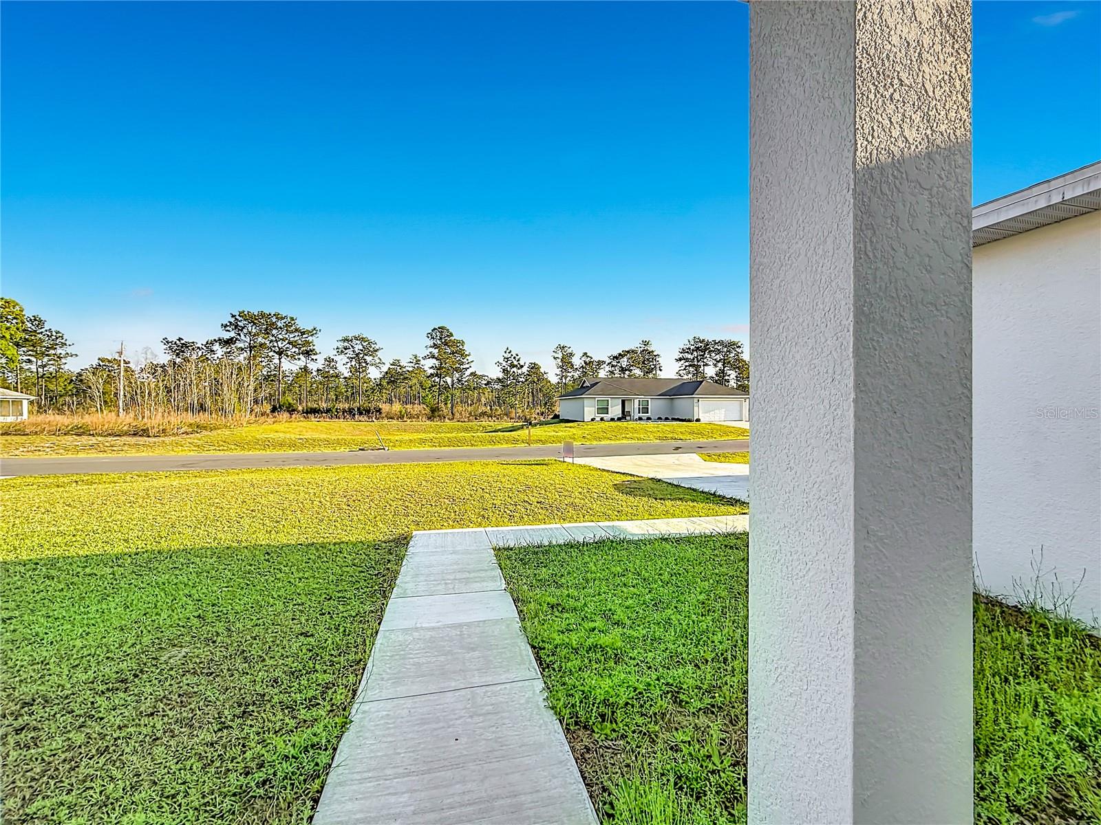 6234 SW 128TH STREET RD, OCALA, FL, 34473