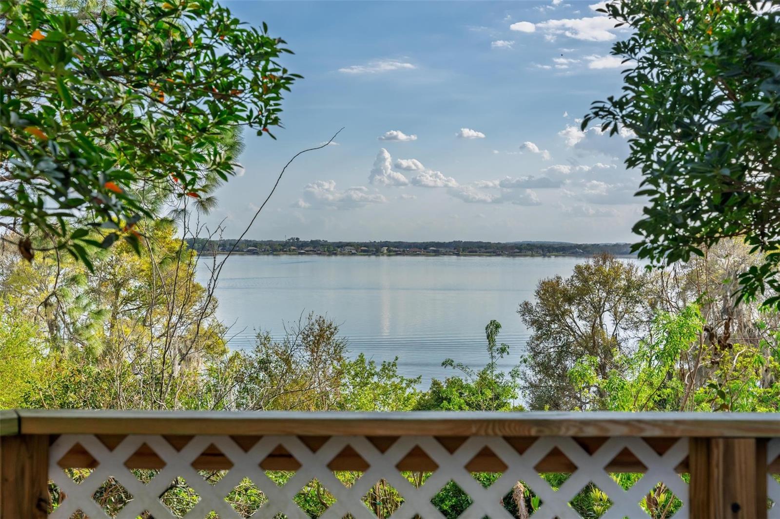 976 FAIRVIEW AVE, MOUNT DORA, FL, 32757