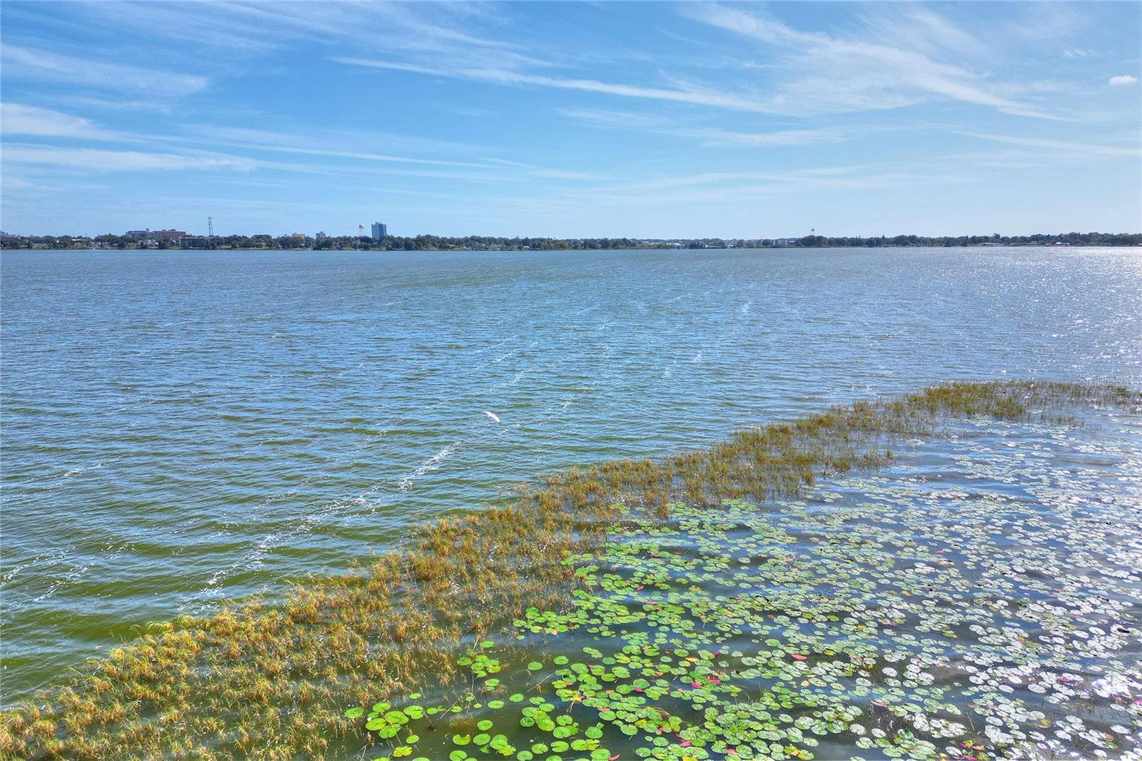 333 LAKE HOWARD DR NW #113D, WINTER HAVEN, FL, 33880