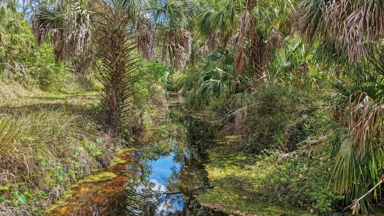 3106 TIMBERLEE RD, WIMAUMA, FL, 33598