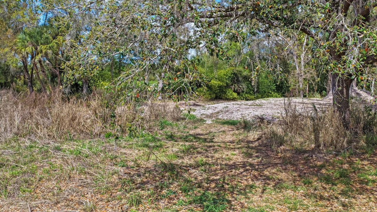 3106 TIMBERLEE RD, WIMAUMA, FL, 33598