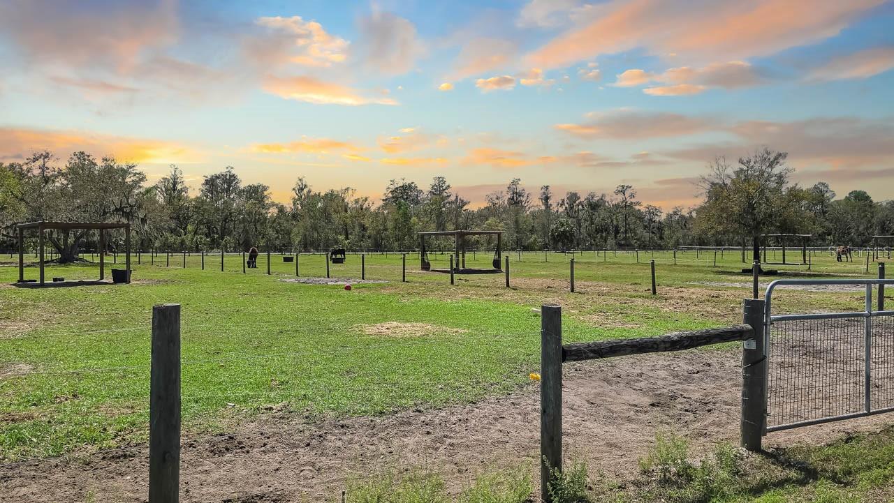 3106 TIMBERLEE RD, WIMAUMA, FL, 33598