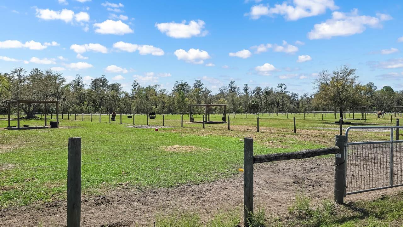3106 TIMBERLEE RD, WIMAUMA, FL, 33598