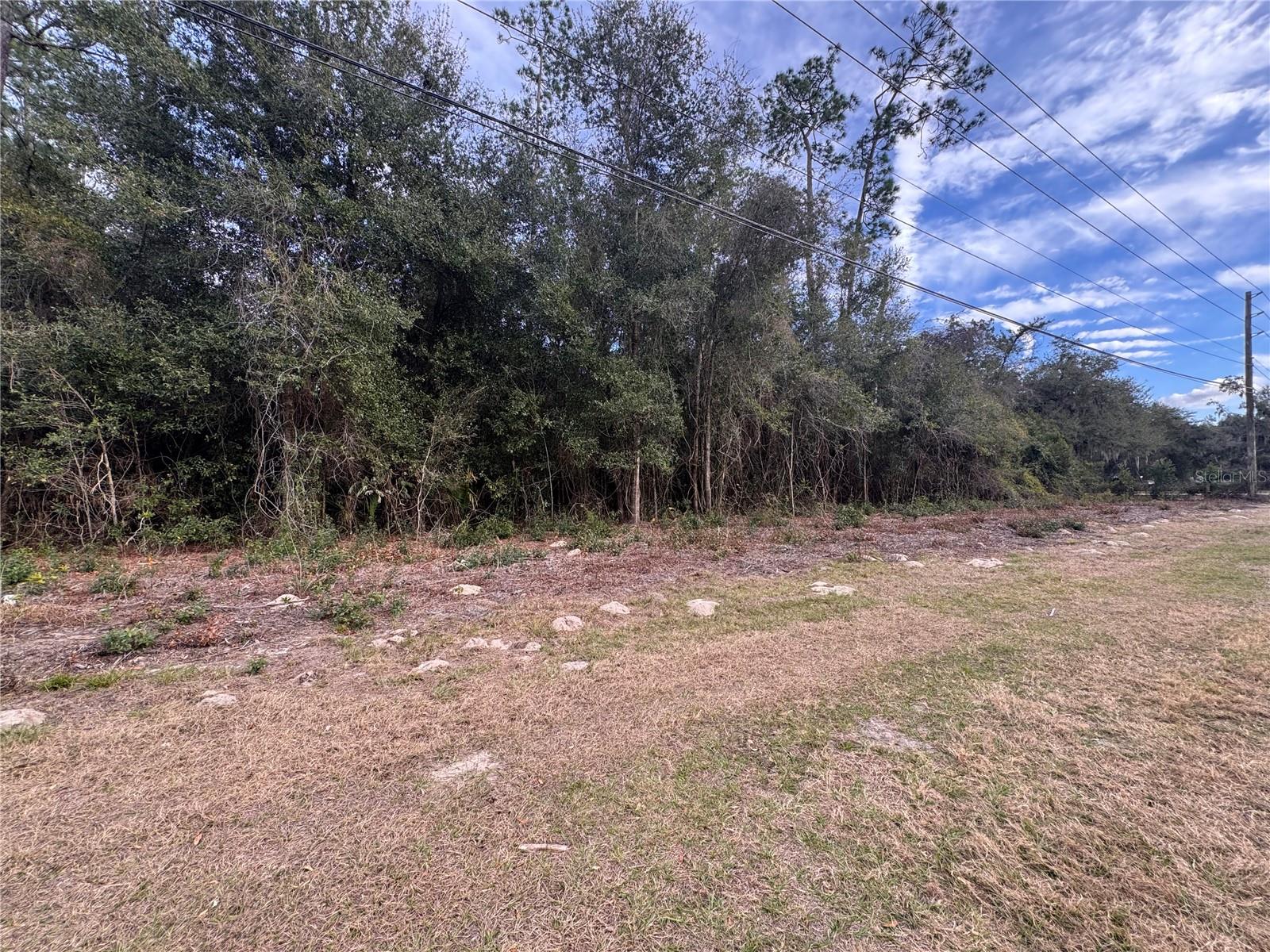 TBD US 301, BUSHNELL, FL, 33513
