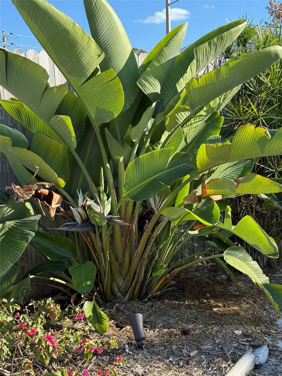 828 S TUTTLE AVE, SARASOTA, FL, 34237