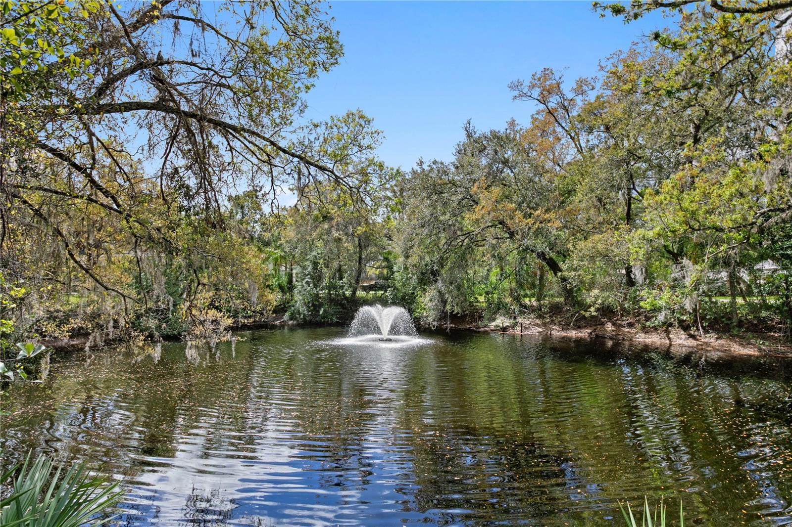 16204 SIERRA DE AVILA, TAMPA, FL, 33613