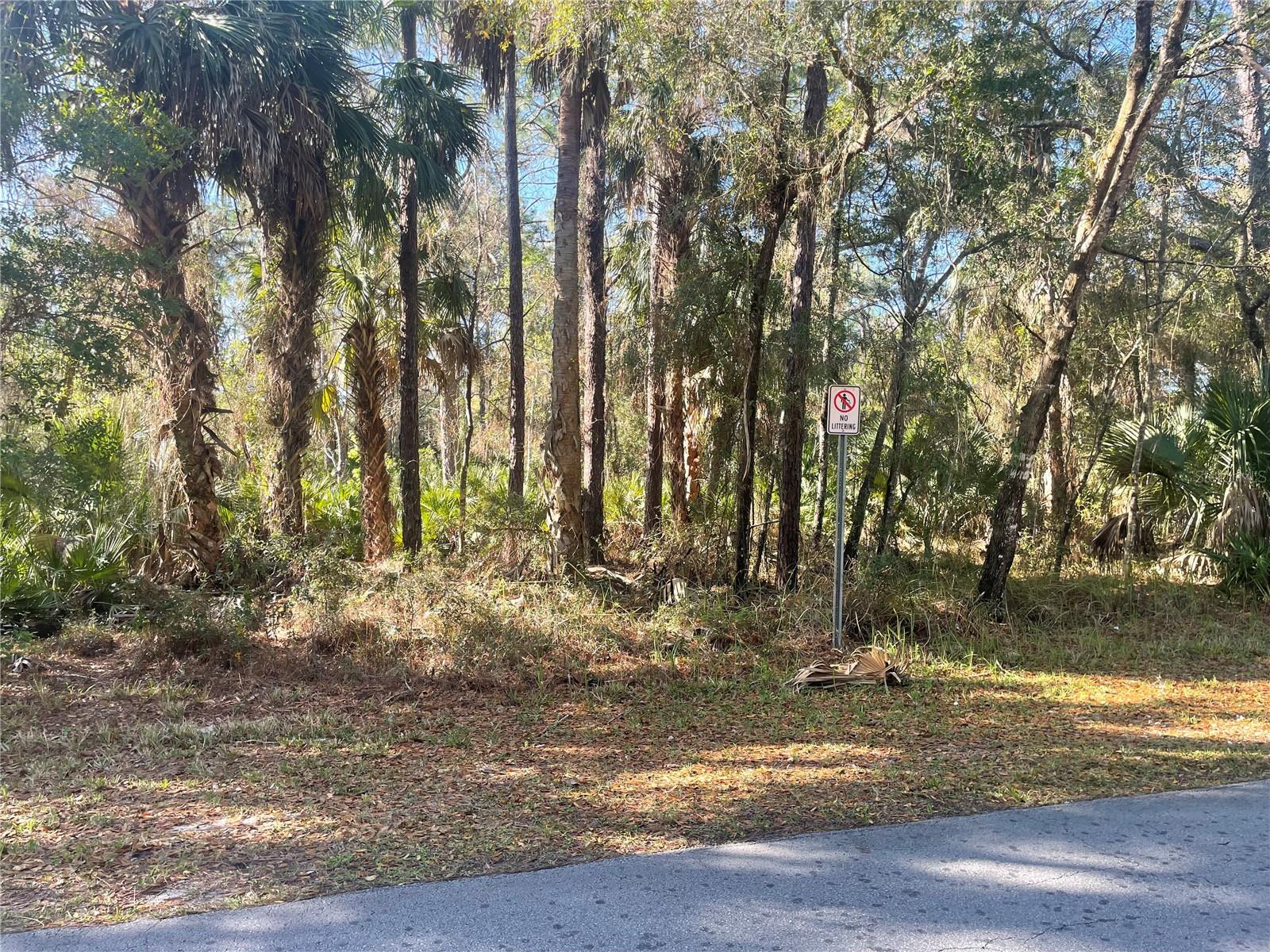 1120 NE 3RD ST, CRYSTAL RIVER, FL, 34429