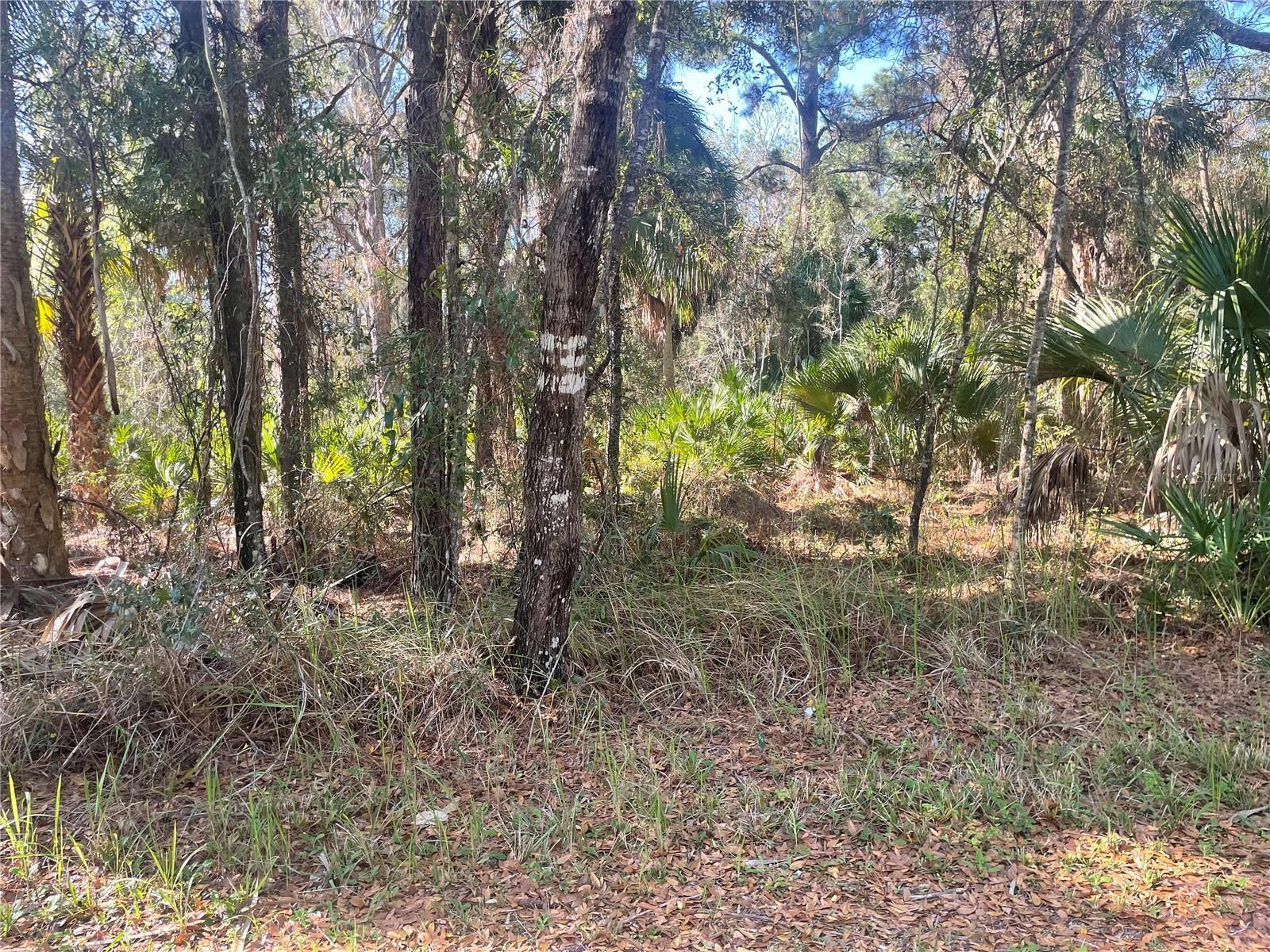 1120 NE 3RD ST, CRYSTAL RIVER, FL, 34429