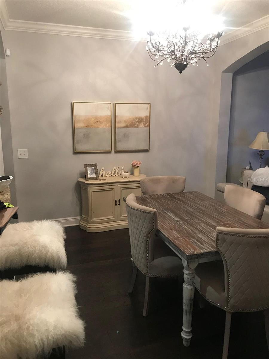 6922 FROG POCKET PL, TAMPA, FL, 33616