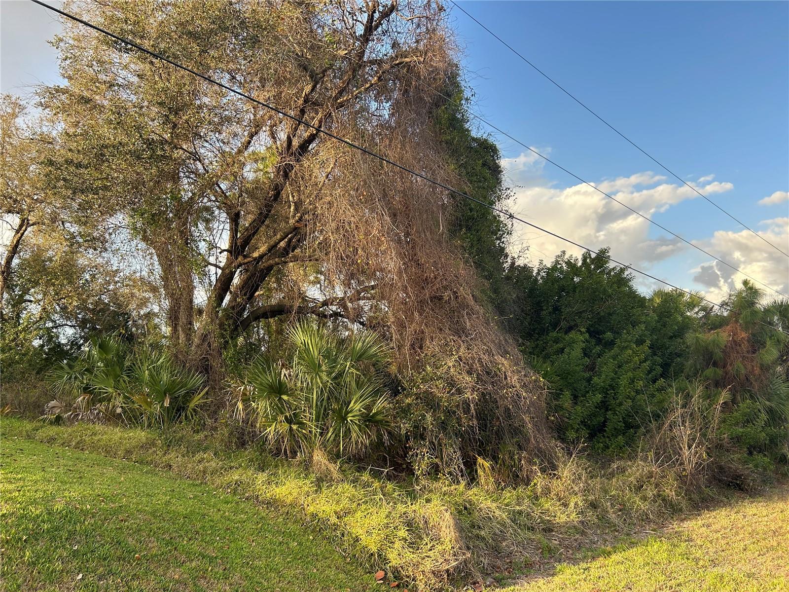 RUMSON RD, NORTH PORT, FL, 34288