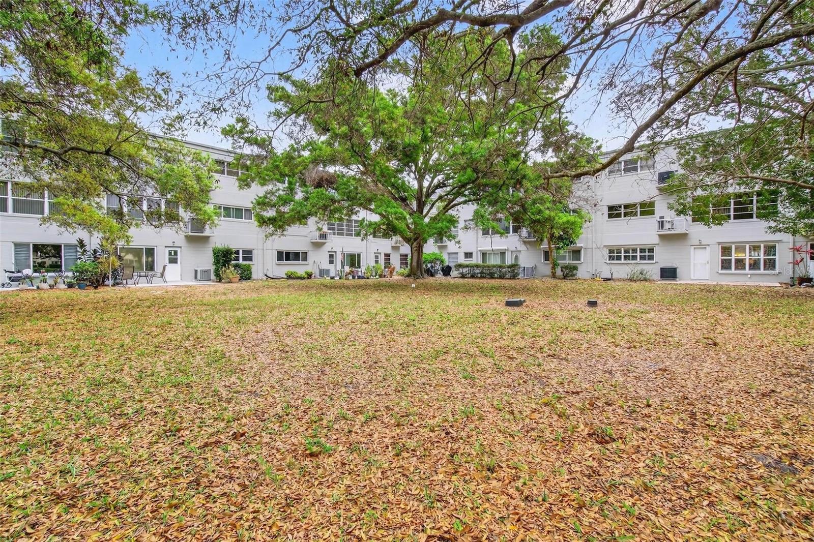 2260 COSTA RICAN DR #6, CLEARWATER, FL, 33763