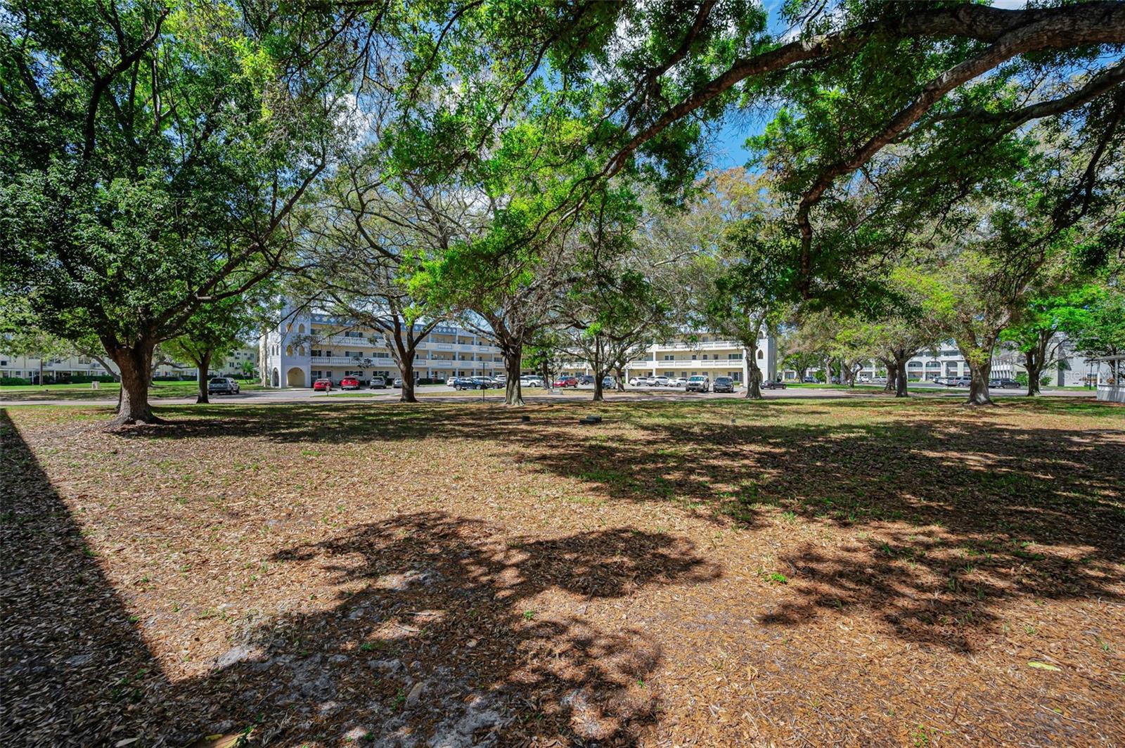 2260 COSTA RICAN DR #6, CLEARWATER, FL, 33763